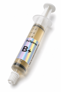 B+ Psilocybe Cubensis Spore Syringe – 10mL Microscopy Research Kit